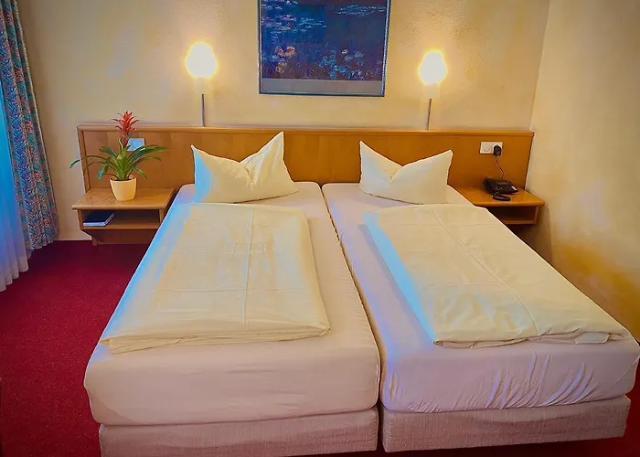 Hotel Meister Baer Ostbayern Floß
